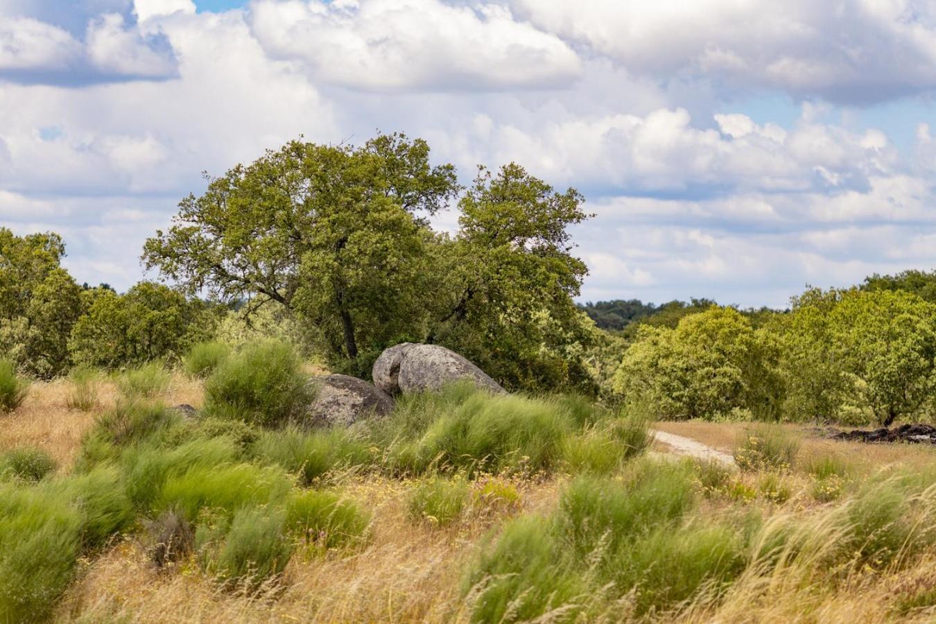 Herdade Do Gamito Crato Bagian luar foto